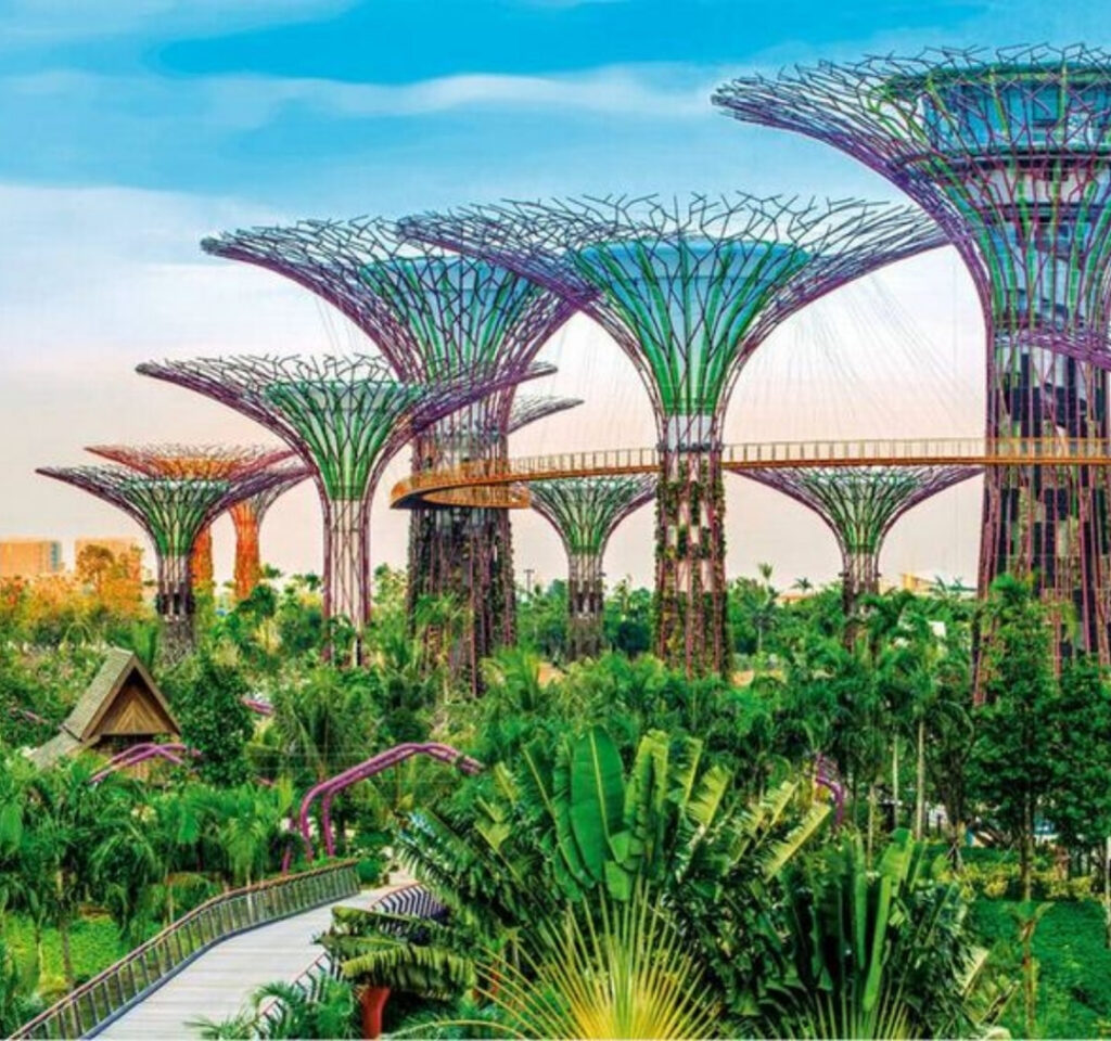 Singapore Flower View