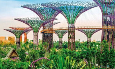 Singapore Flower View